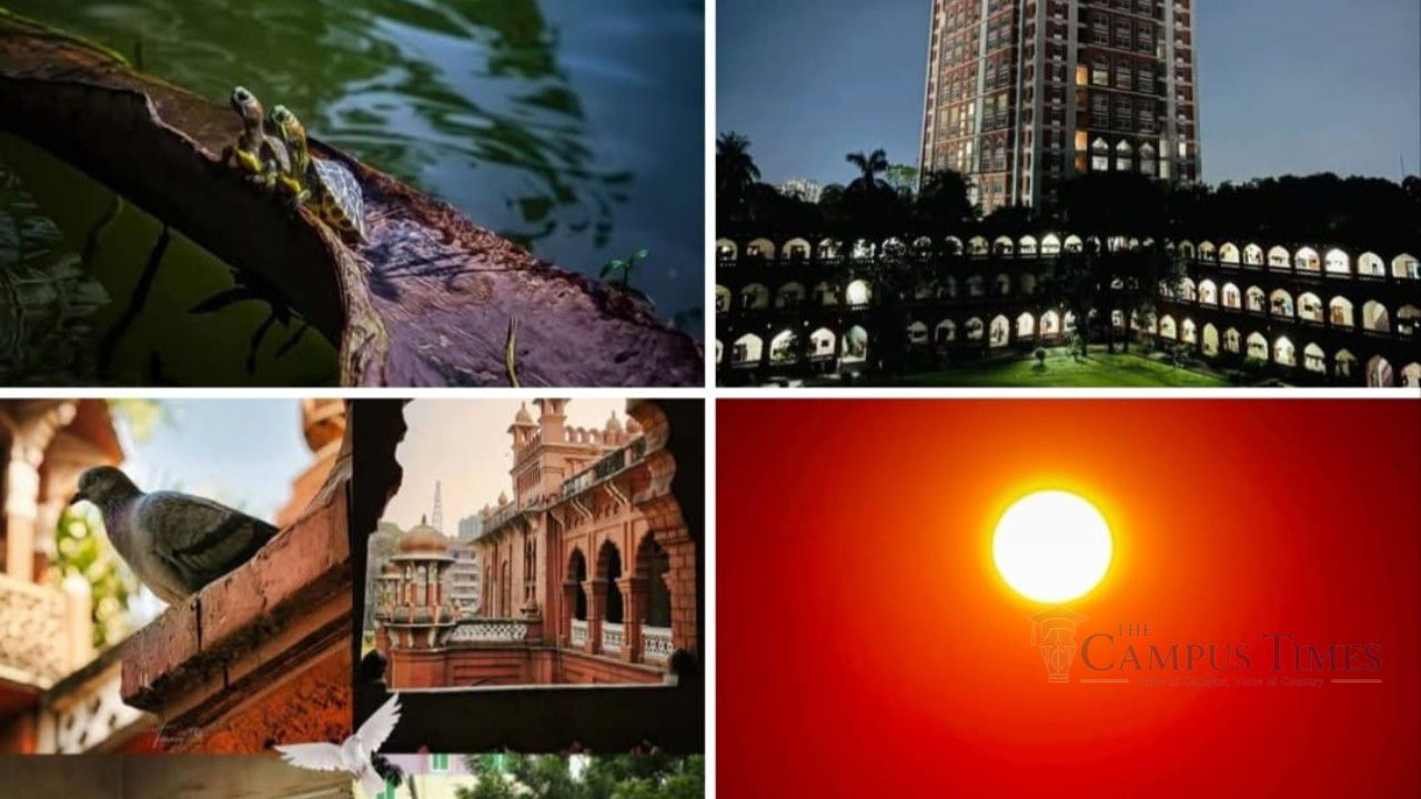 বর্ণিল আয়োজনে শেষ হলো ‘DUSA Photography Contest 2026’, প্রকাশ পেল বিজয়ীদের নাম