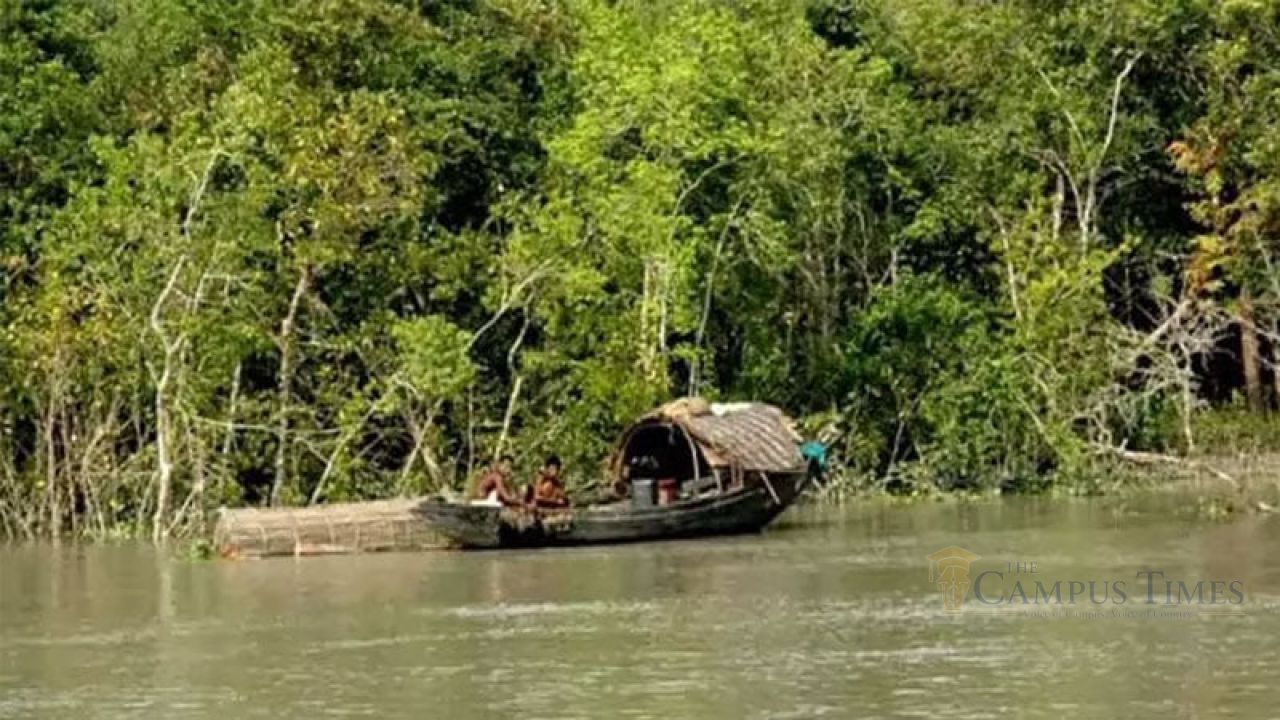 সুন্দরবনে গভীর রাতে গোলাগুলি, আতঙ্কে গ্রামবাসী