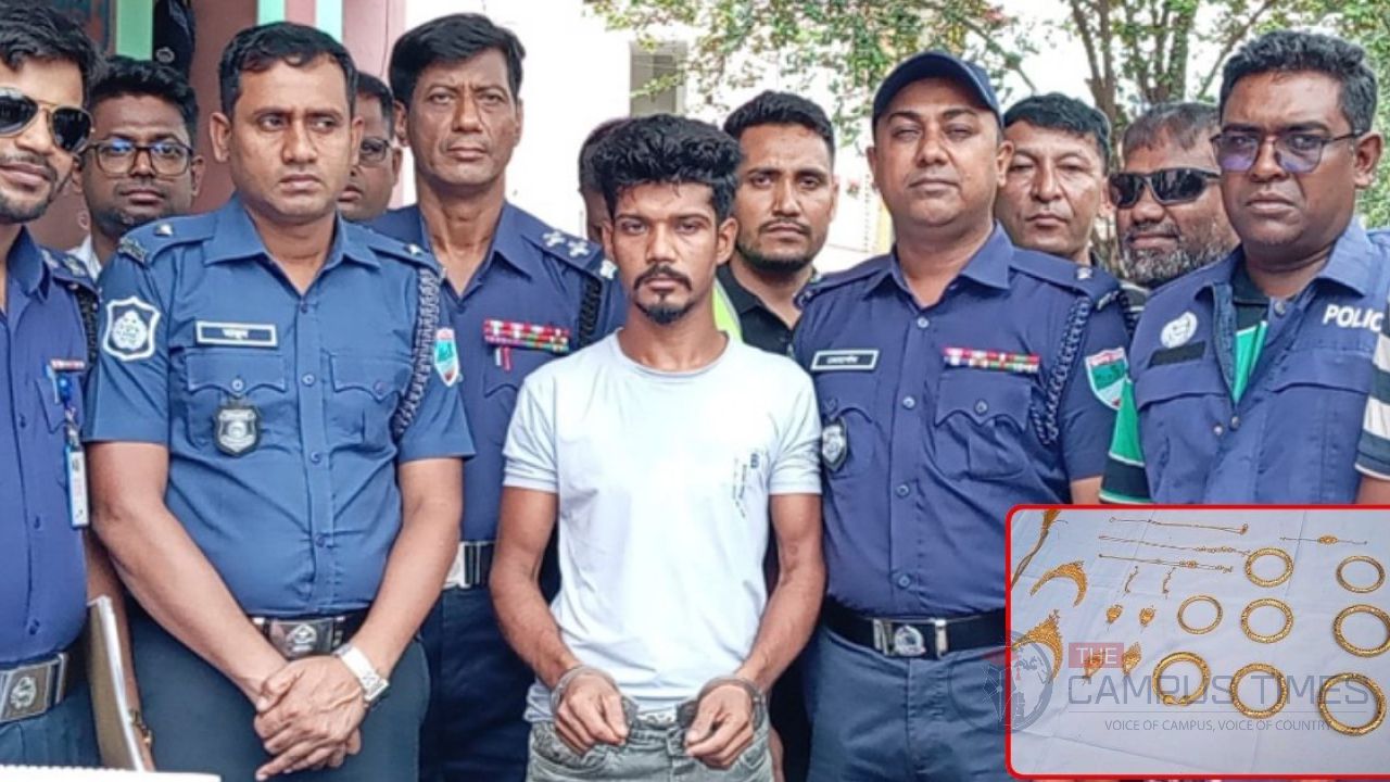 মাটির নিচে লুকিয়ে রাখা ১১ ভরি স্বর্ণ চুরি, সিসিটিভি দেখে টাইলস মিস্ত্রি গ্রেপ্তার