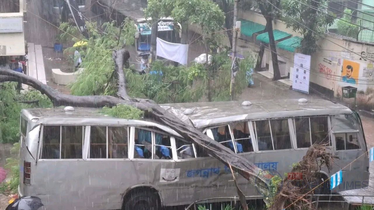 জবিতে বাসের ওপর গাছ, অল্পের জন্য রক্ষা