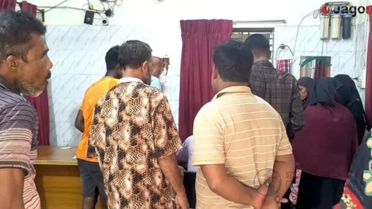 শেরপুরে পাগলা কুকুরের কামড়ে শিশুসহ আহত ২৯
