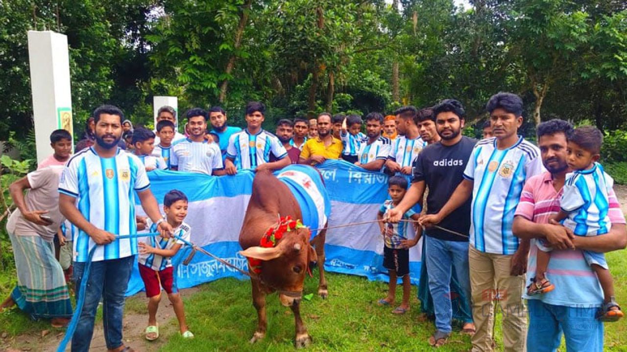 বিশ্বকাপ ফাইনাল উপলক্ষে গরু জবাই করে ভূরিভোজের আয়োজন