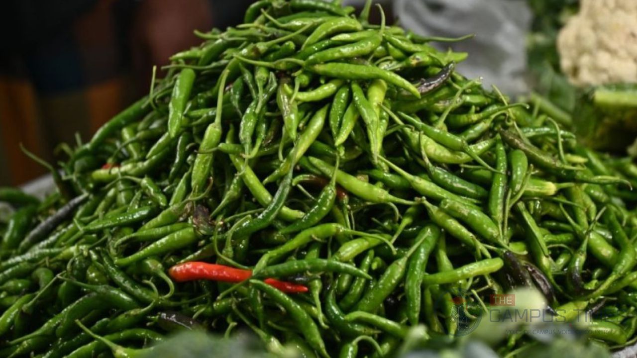 বৃষ্টির দাপটে কাঁচা মরিচের কেজি ২০০ টাকা ছাড়াল