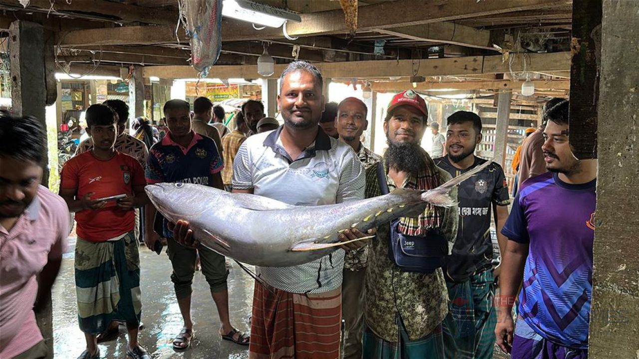 সাগরে ধরা পড়ল ২৯ কেজির টুনা মাছ, ৪০ হাজার টাকায় বিক্রি