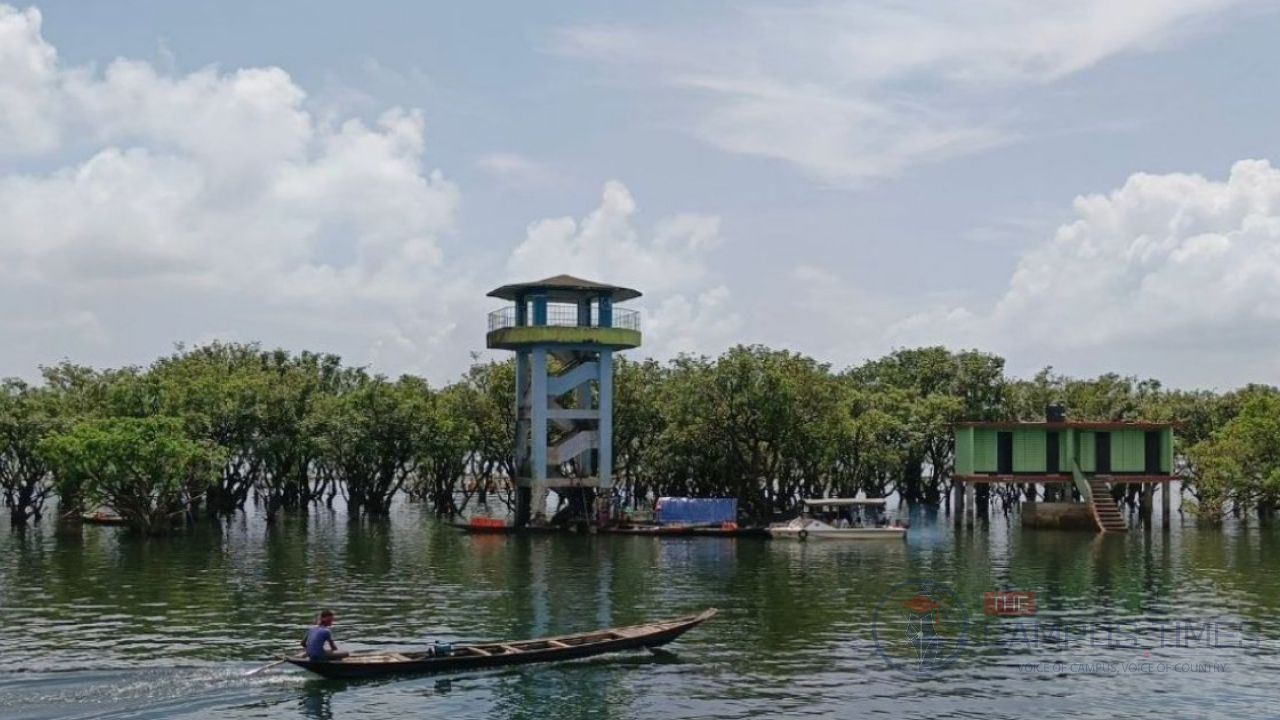 টাঙ্গুয়ার হাওরে প্রবেশে নিষেধাজ্ঞা