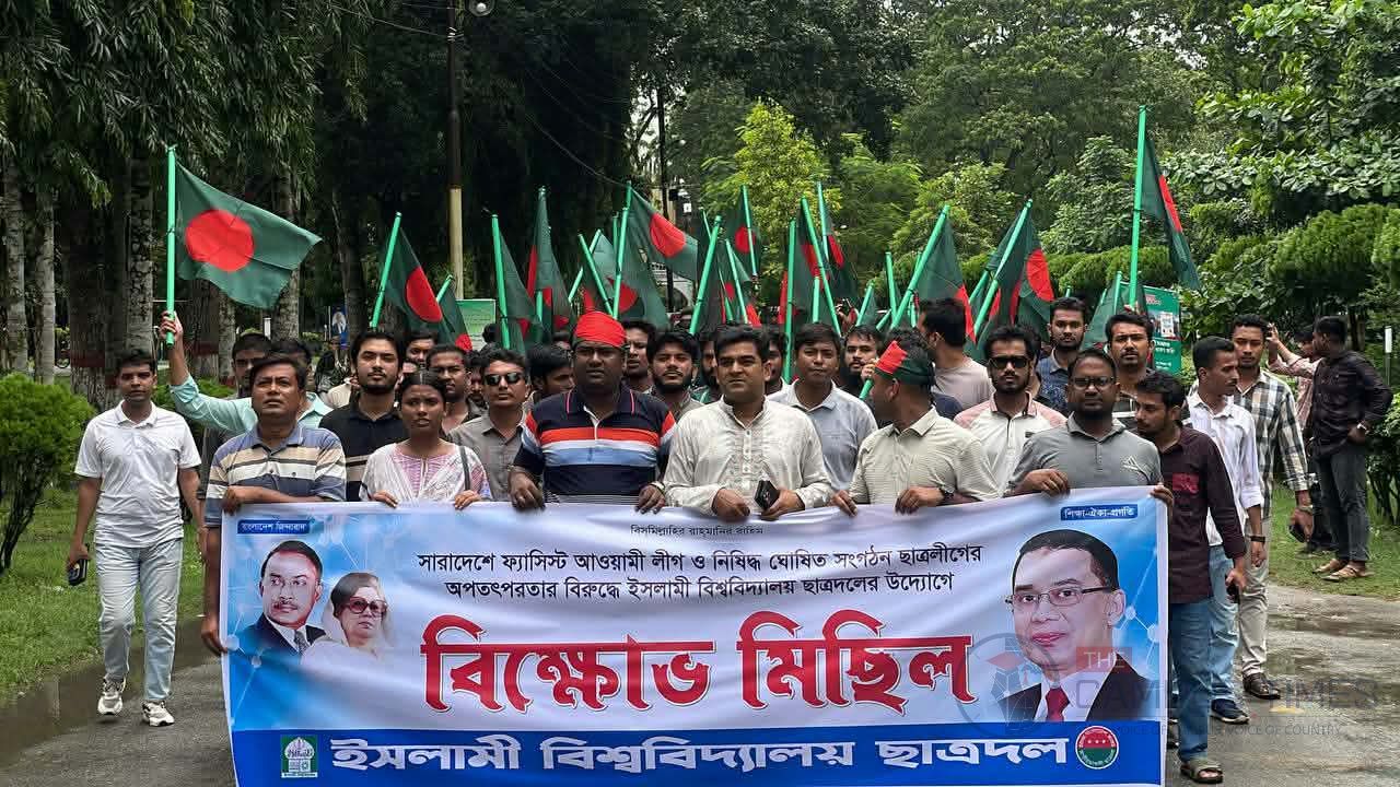 আওয়ামী লীগ-ছাত্রলীগের 'অপতৎপরতার' বিরুদ্ধে ইবি ছাত্রদলের বিক্ষোভ মিছিল 