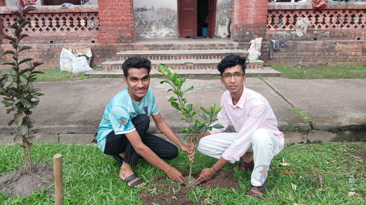 তারেক রহমানের কর্মসূচির অংশ হিসেবে শহীদুল্লাহ হলে বৃক্ষরোপণ