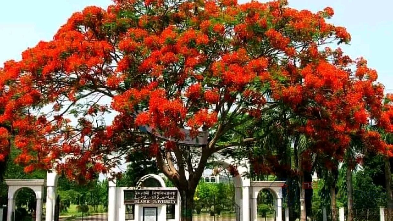 বিশ্বের সেরা ২ শতাংশ গবেষকের তালিকায় ইবির ৫ গবেষক